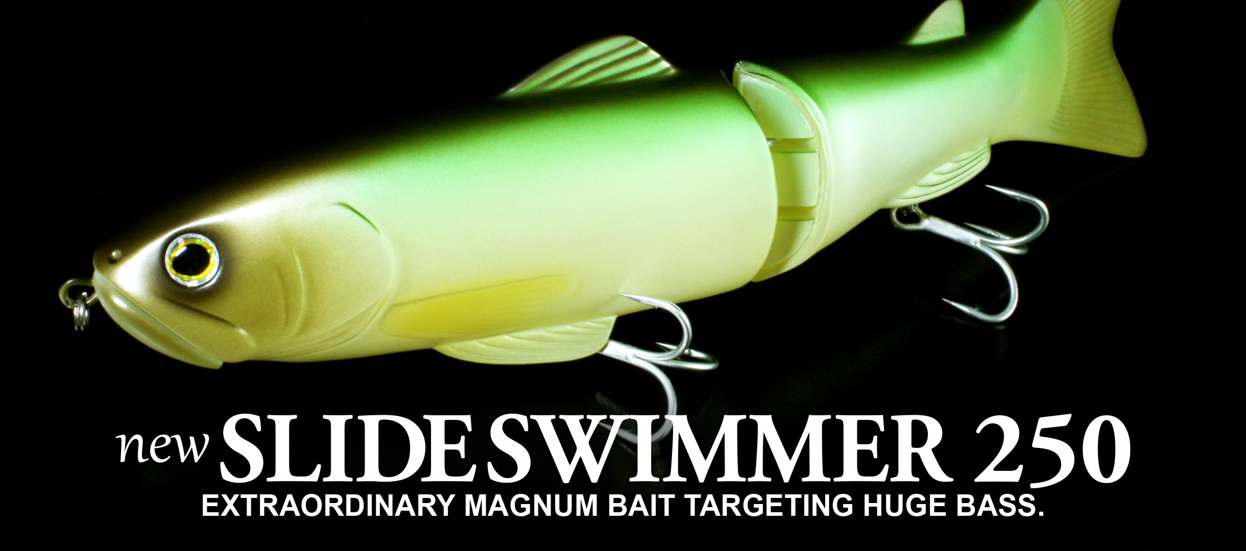 new SLIDESWIMMER 250 | deps OFFICIAL HP | デプス 公式HP