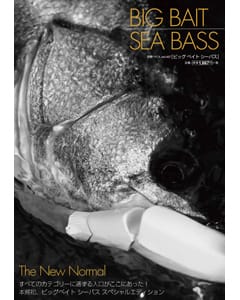 ビッグベイトシーバス