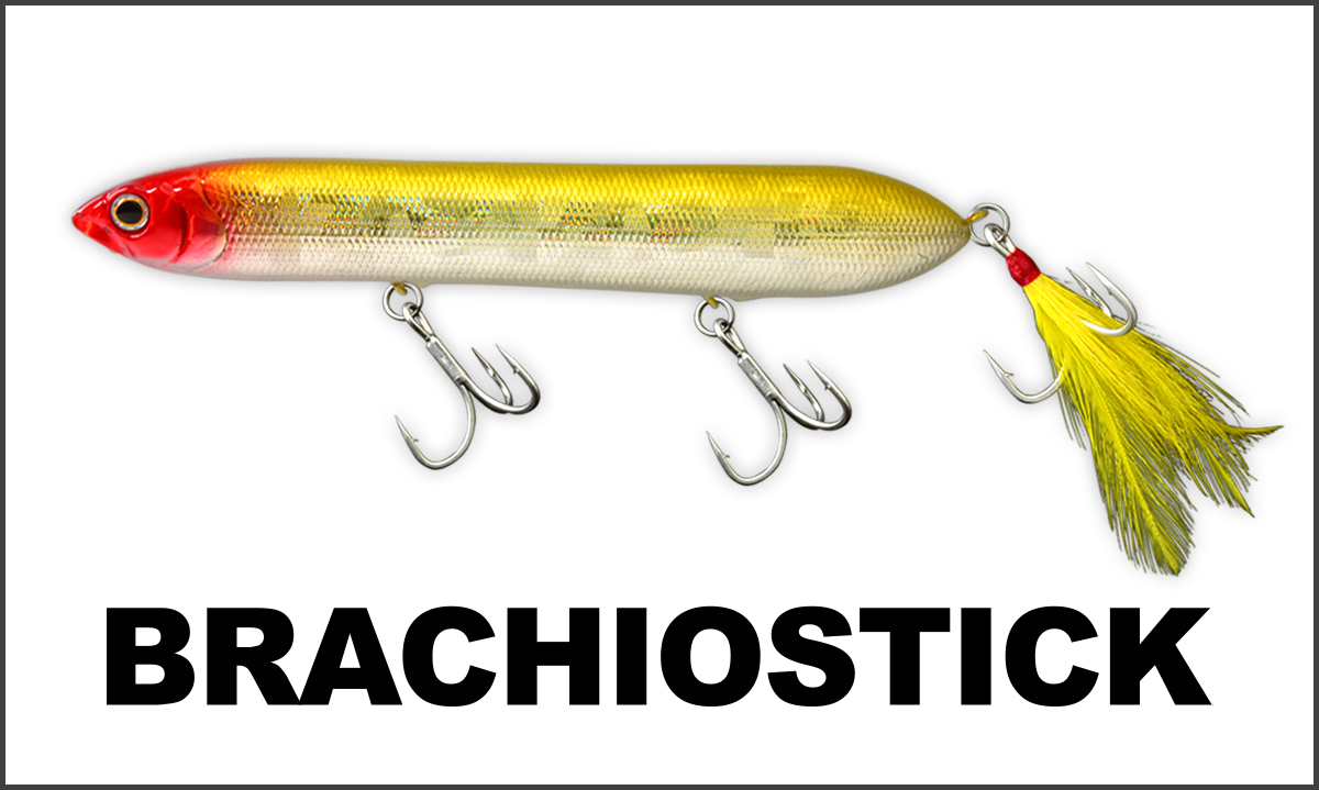 ブラキオスティック