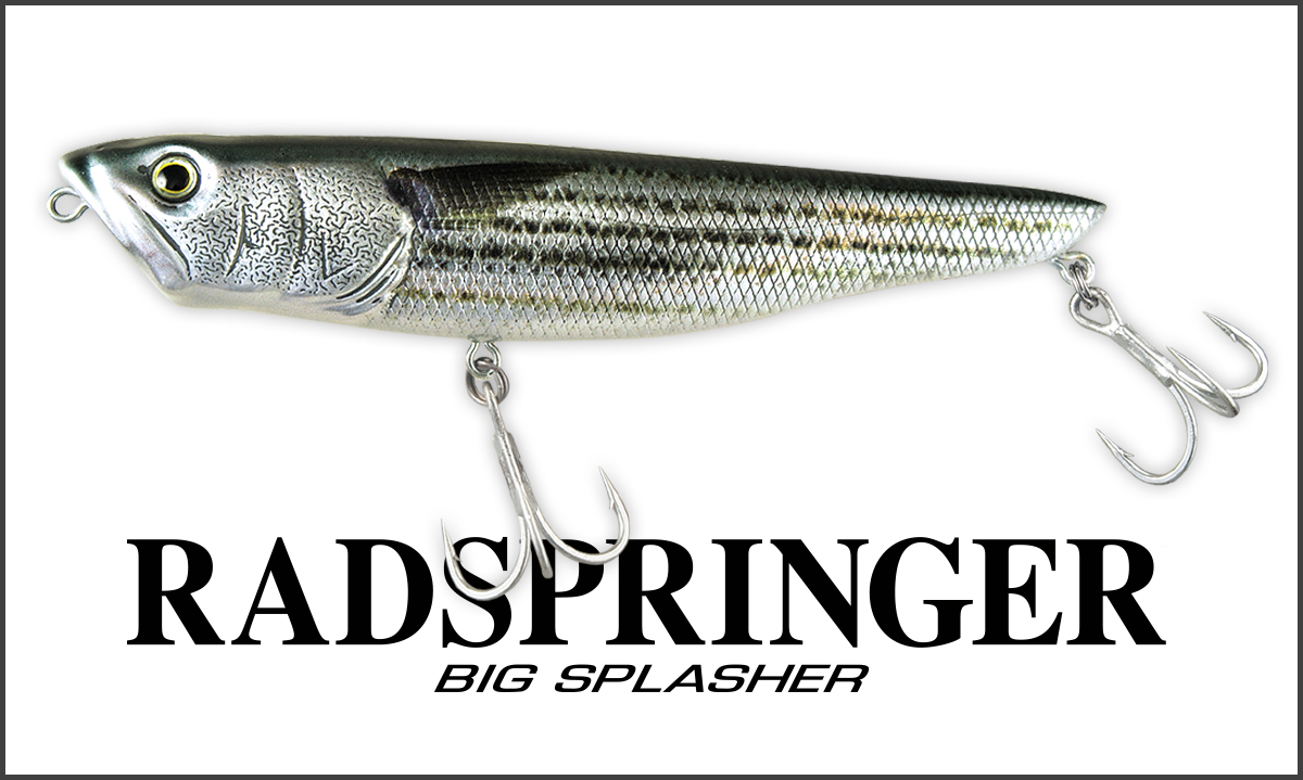 ラドスプリンガー