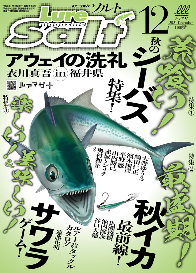 Lure Magazine salt 2021 12月号