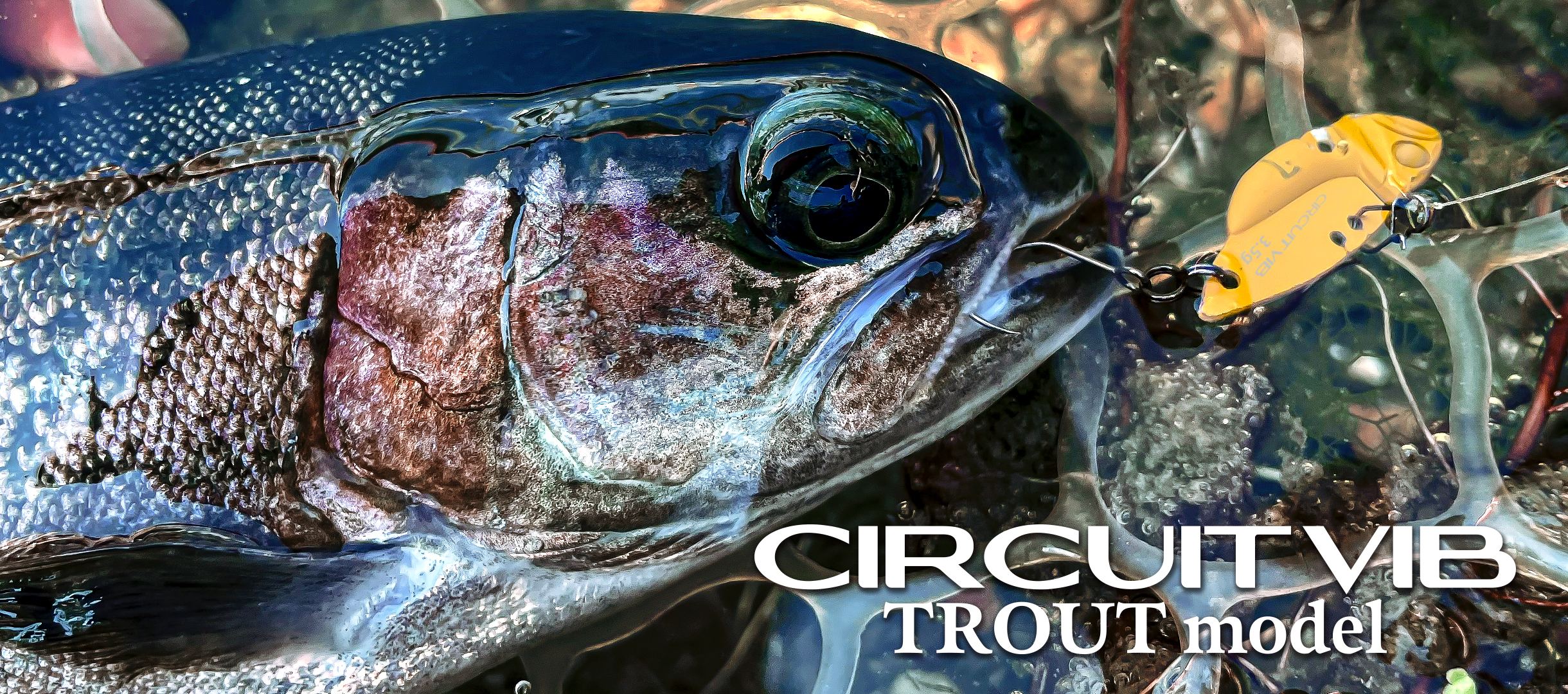 CIRCUIT VIB TROUT MODEL | deps OFFICIAL HP | デプス 公式HP