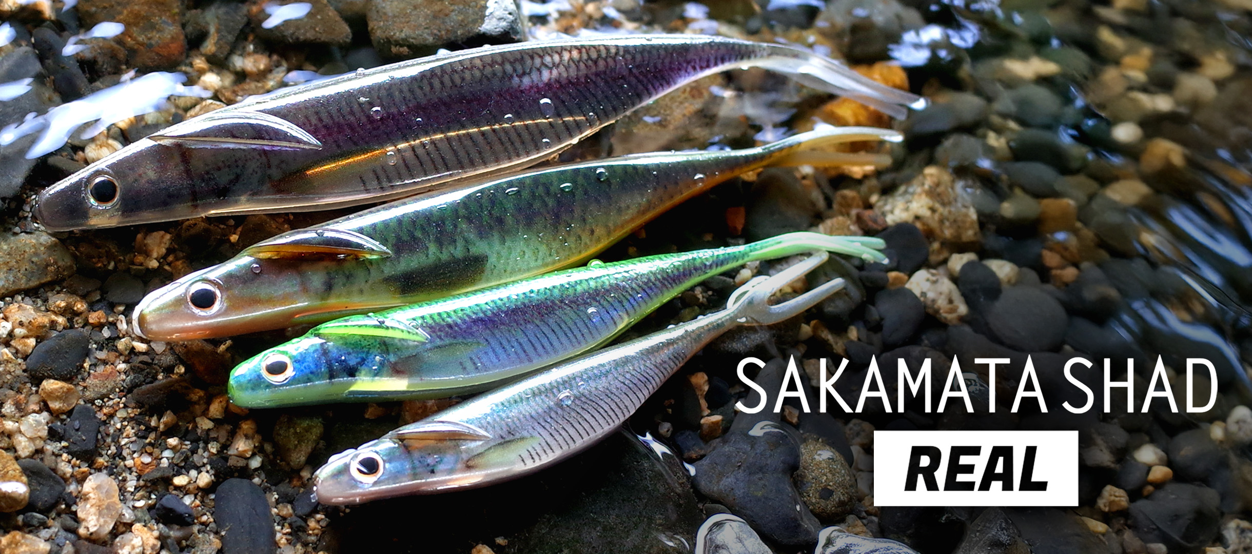 デプス ワーム セット サカマタシャッド リアル 全色セット デプス ワーム セット サカマタシャッド リアル 全色セット