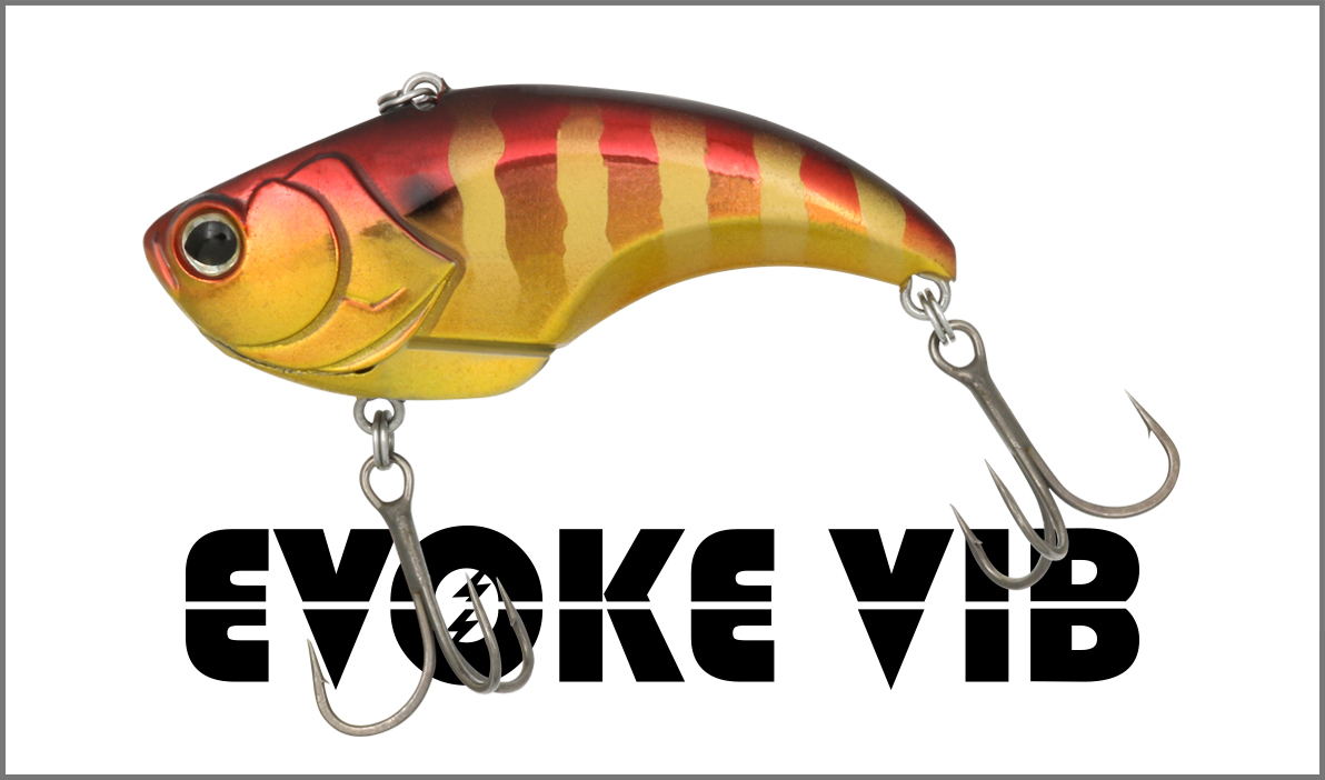 イヴォークバイブ