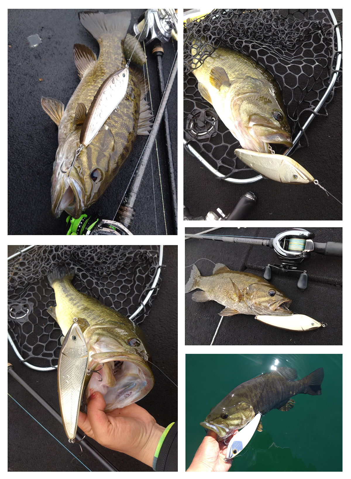 デプス⭐︎WEBメンバーのセット デプス⭐︎WEBメンバーのセット